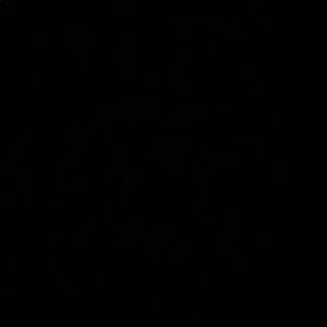 Meet your Posher, Sunny